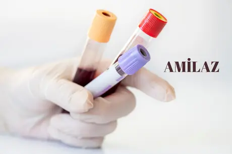 Amilaz Değeri Nedir?