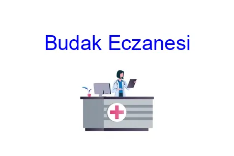 Budak Eczanesi