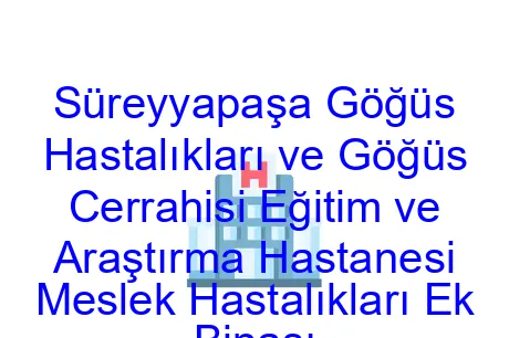 Süreyyapaşa Göğüs Hastalıkları ve Göğüs Cerrahisi Eğitim ve Araştırma Hastanesi Meslek Hastalıkları Ek Binası